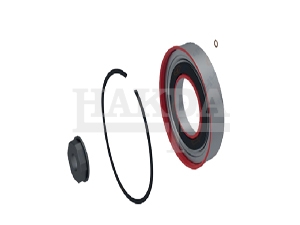 9125129332-RENAULT-REPAIR KIT (COMPRESSOR)